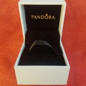 2 pandora charm boxes
